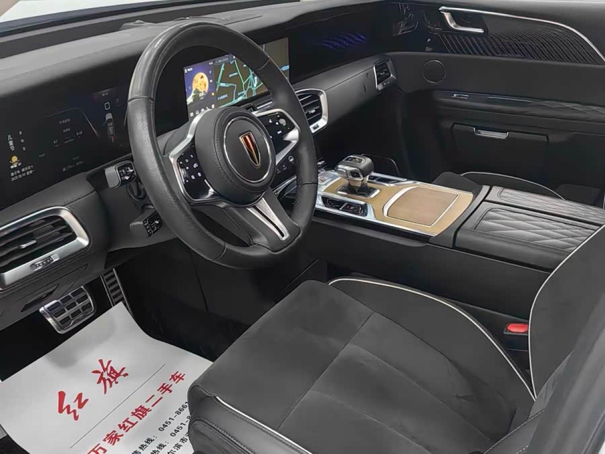 HongQi E-HS9 2023 car image #5