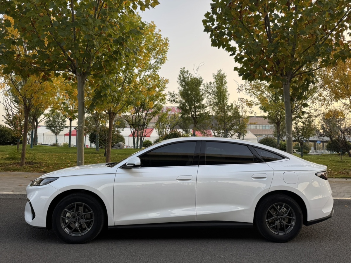 BYD Seal 06 DM-i 2024 #5 BYD Seal 06 DM-i 2024 immagine di auto #5