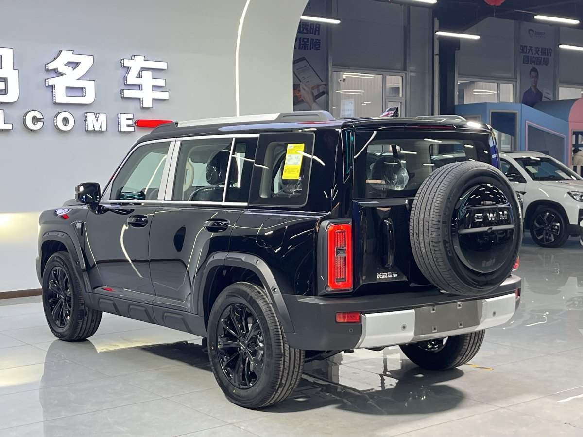 Haval Raptor 2025 car image #5