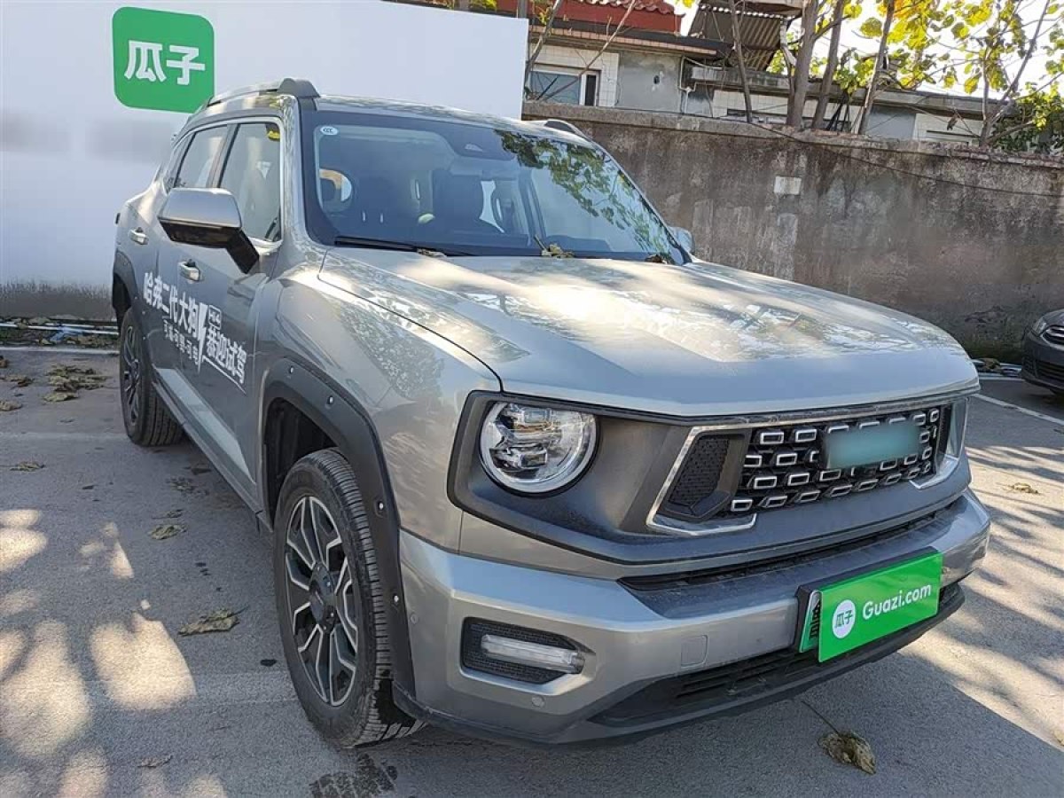 Haval X Dog 2 New Energy 2024 car image #5