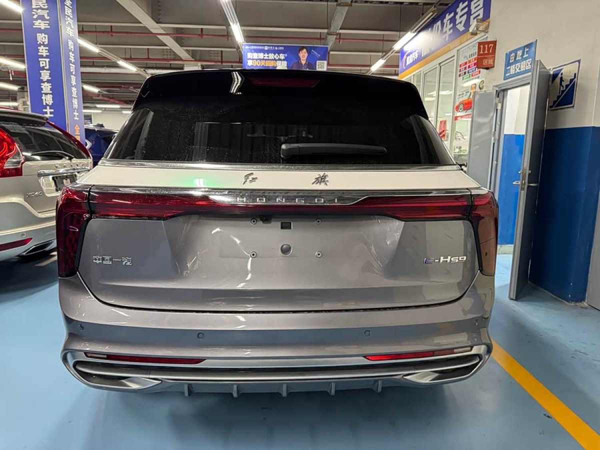 HongQi E-HS9 2024 #5 HongQi E-HS9 2024 immagine di auto #5