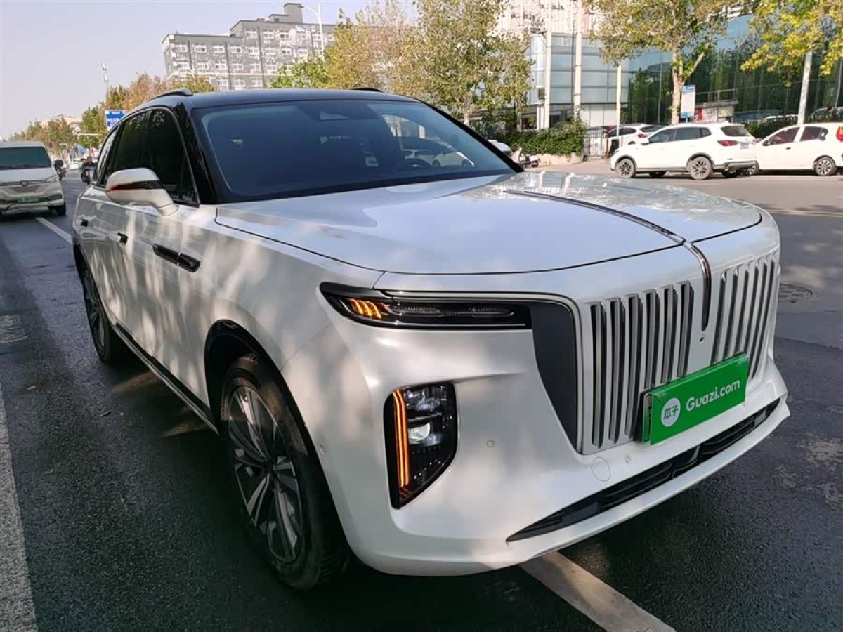 HongQi E-HS9 2023 car image #5