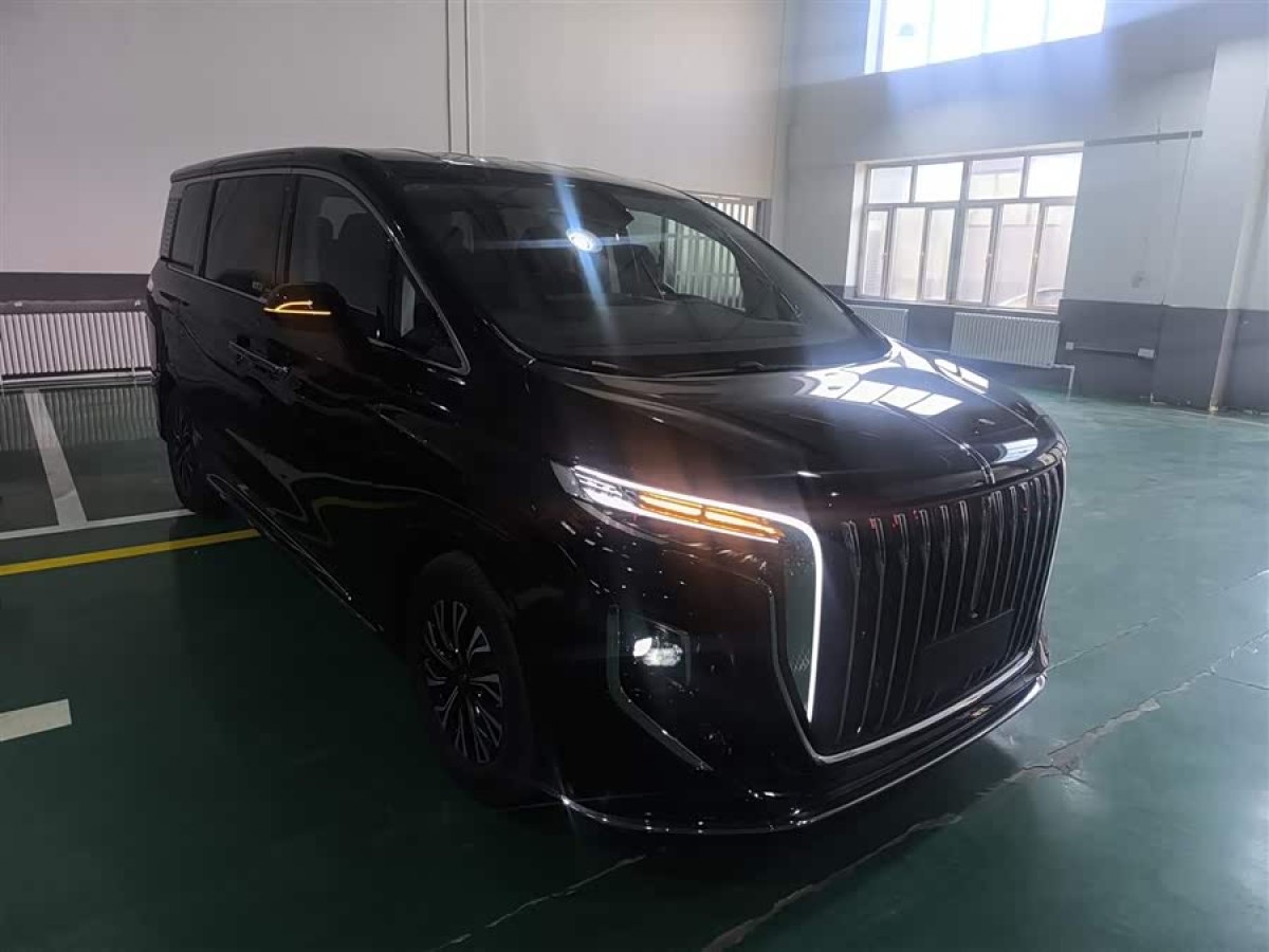 HongQi HQ9 PHEV 2024 car image #5