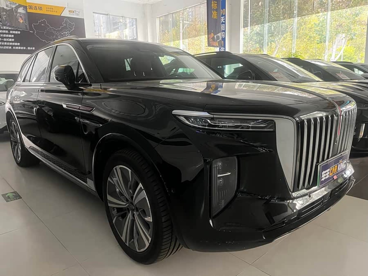 HongQi E-HS9 2023 #5 HongQi E-HS9 2023 immagine di auto #5
