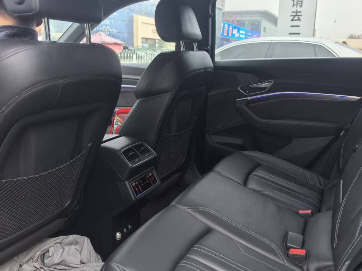 Audi e-tron (Imported) 2021 car image #5