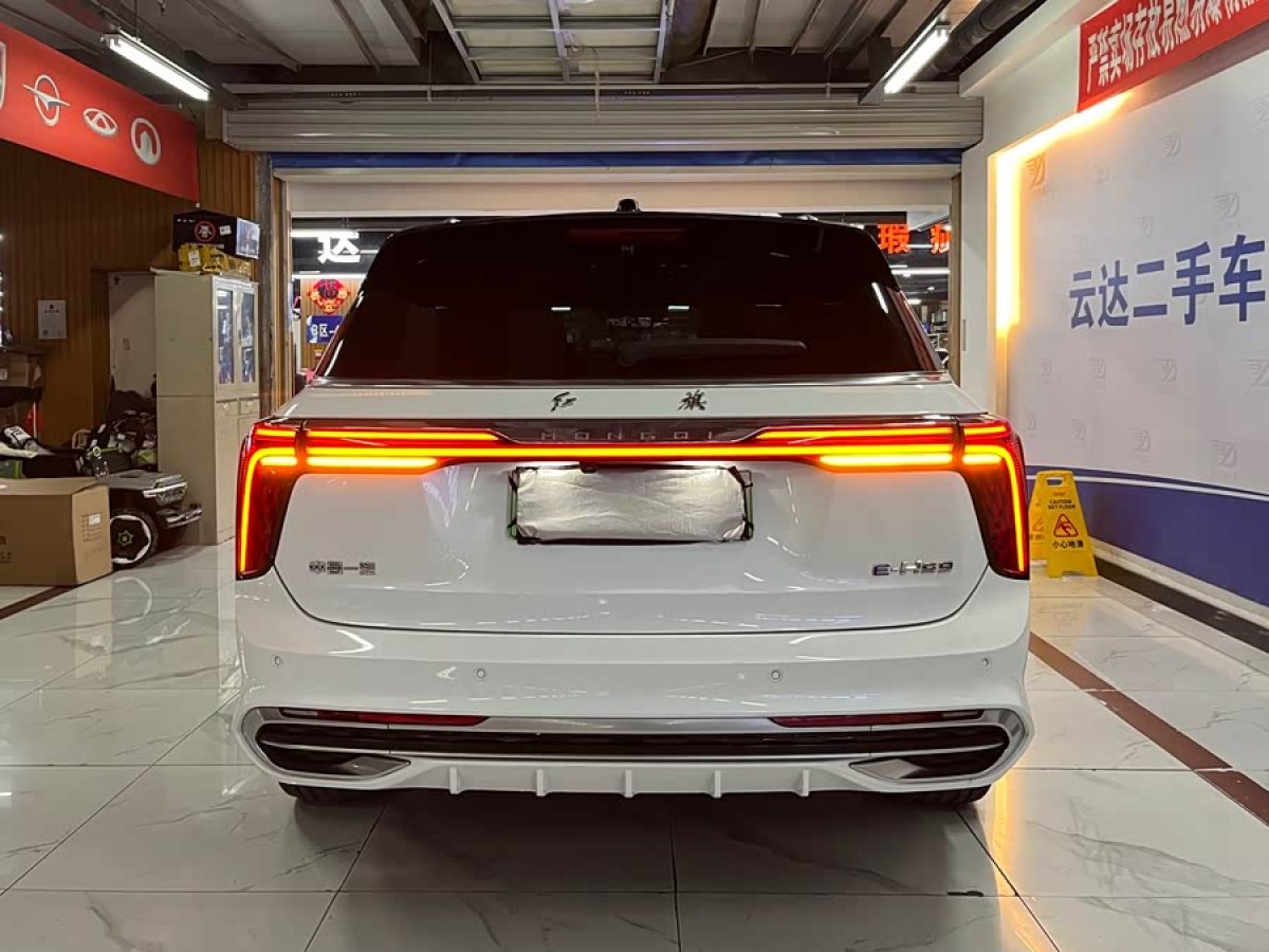 HongQi E-HS9 2021 #5 HongQi E-HS9 2021 immagine di auto #5