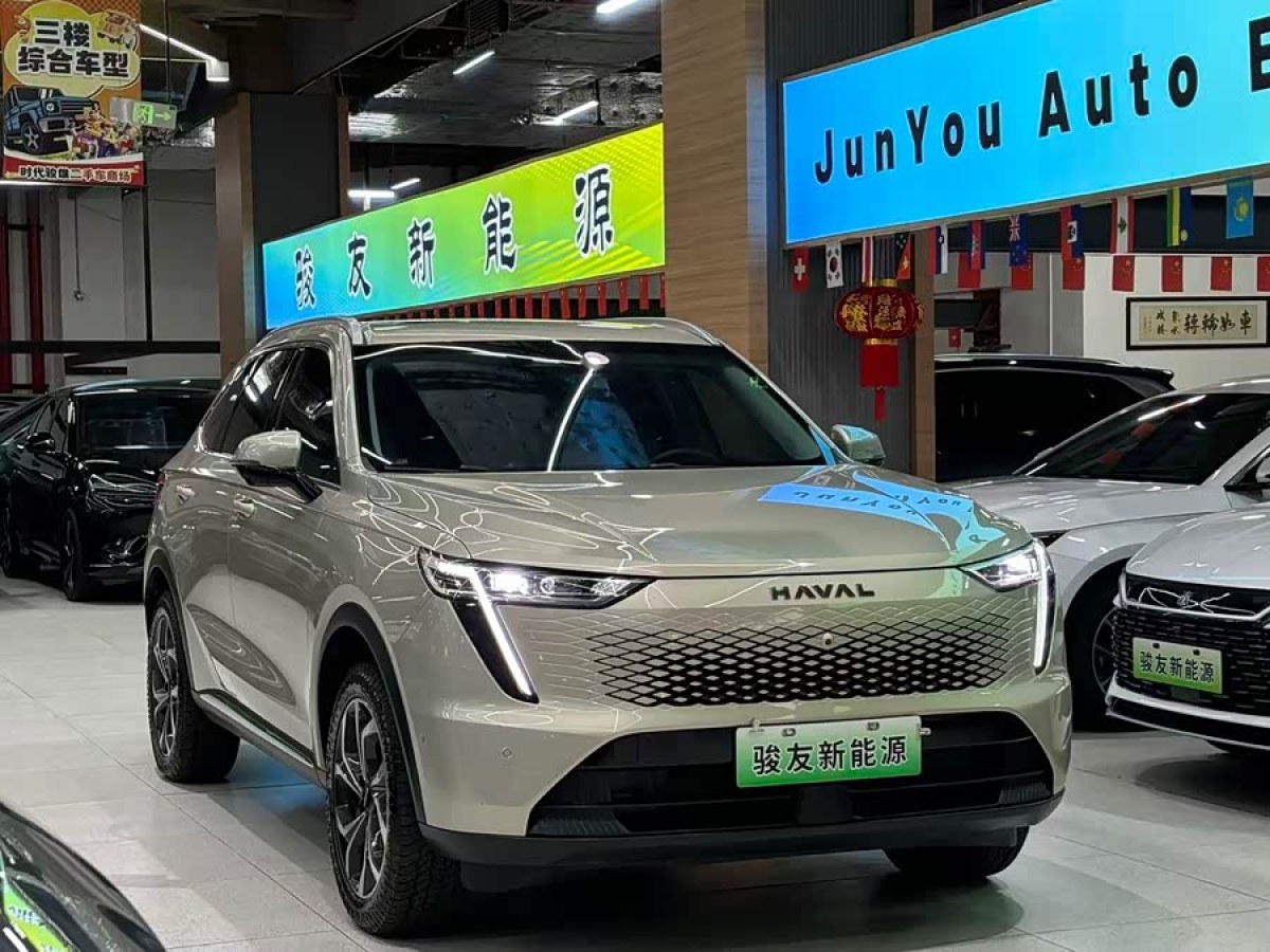 Haval Fierce Dragon MAX 2023 immagine di auto #5