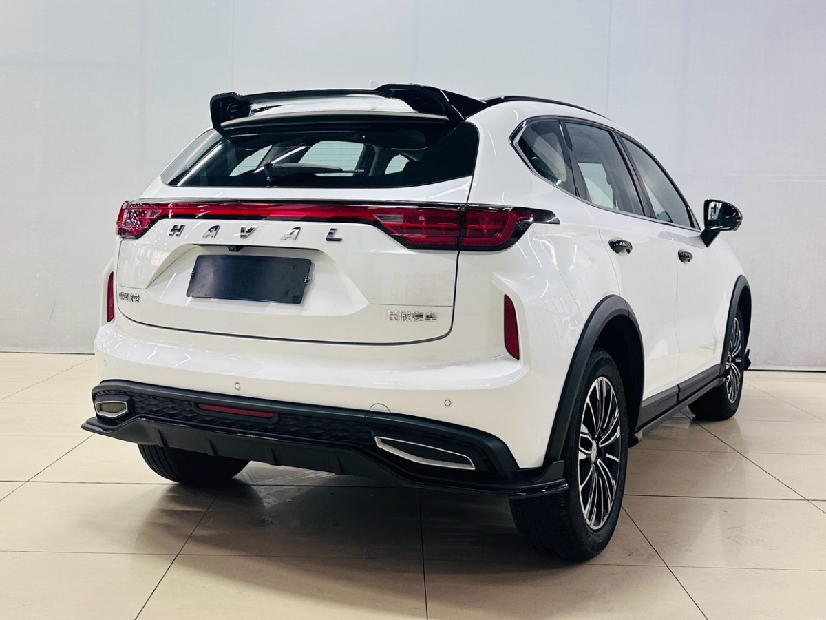Haval Rabbit 2024 صورة سيارة #5
