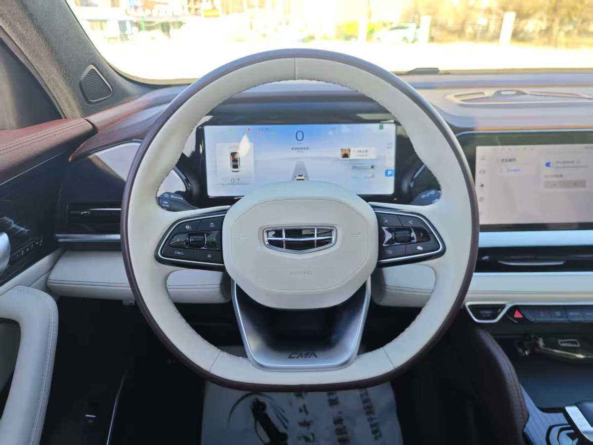 GEELY Tugella 2021 car image #5