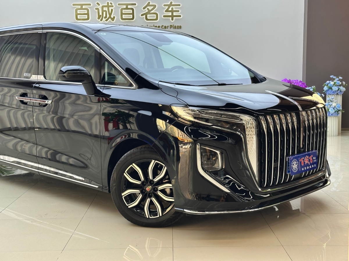 HongQi HQ9 2023 car image #5