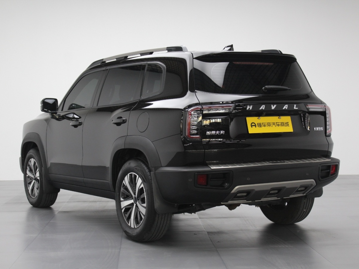 Haval X Dog / Dargo 2021 car image #5