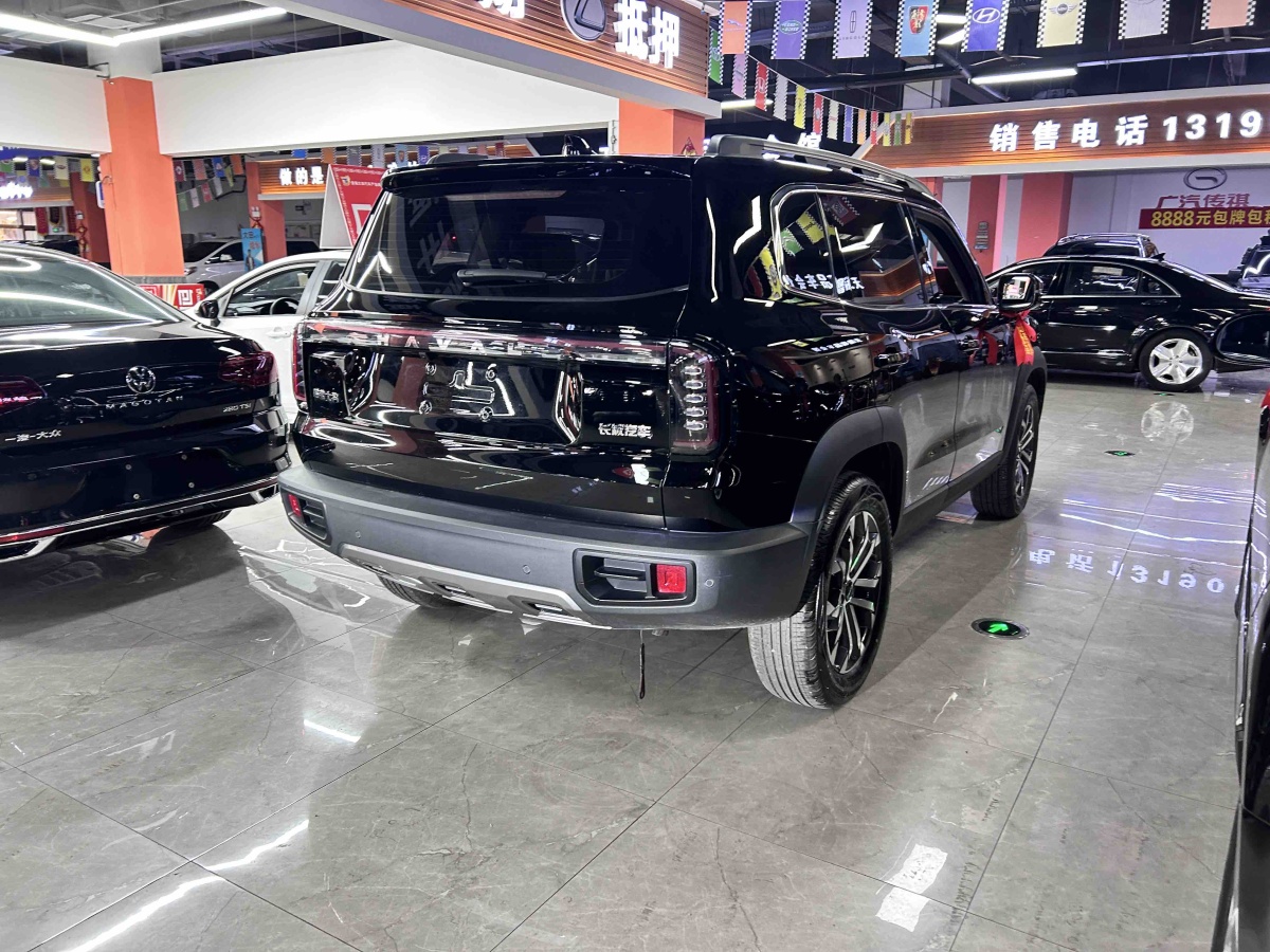 Haval X Dog / Dargo 2024 car image #5