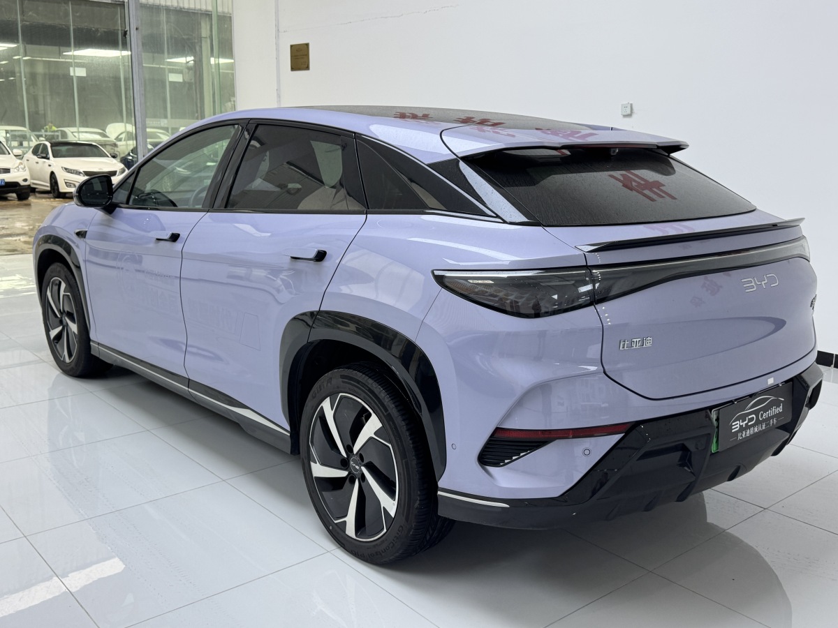 BYD Sea Lion 07 EV 2025 car image #5