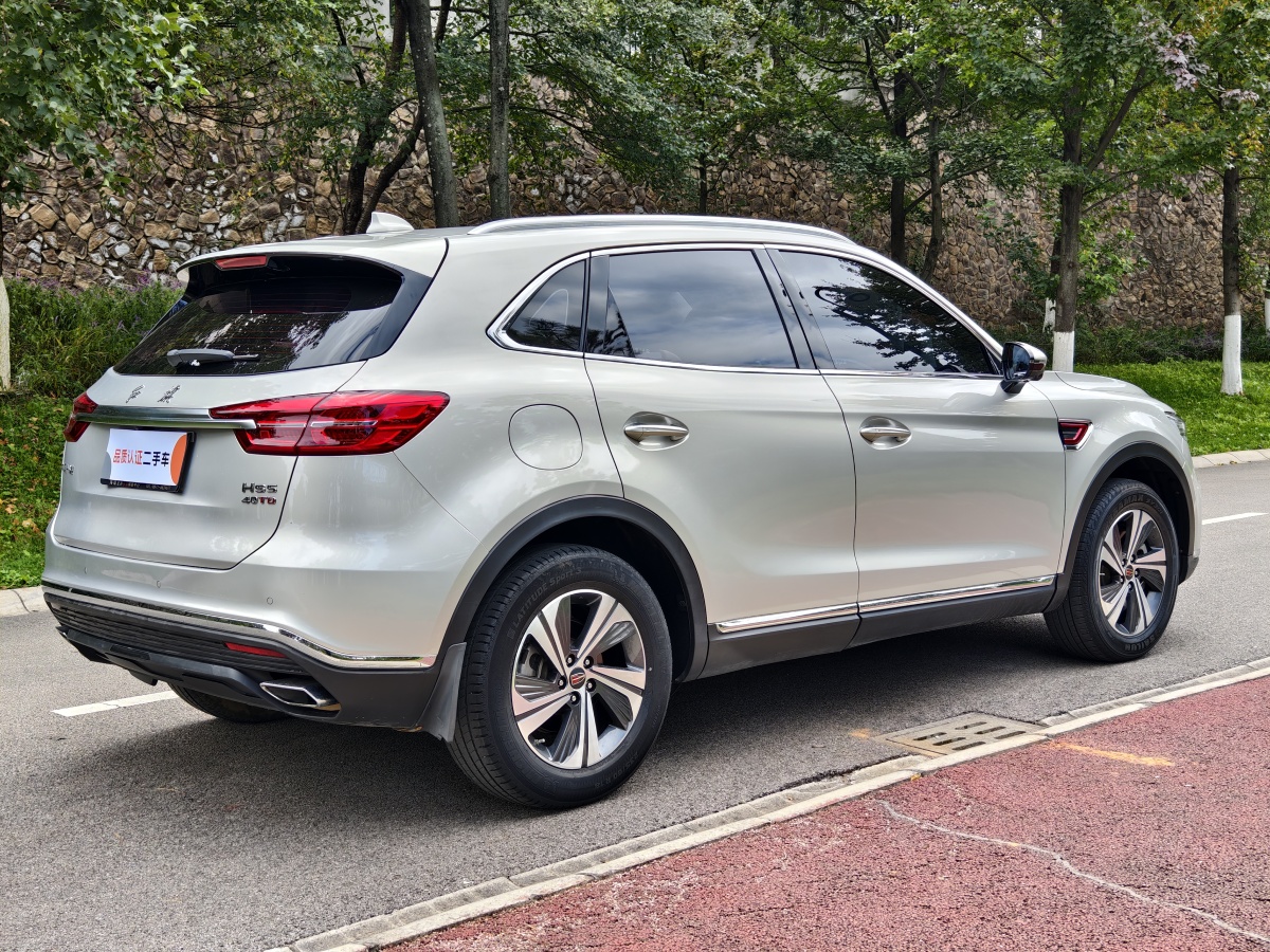 HongQi HS5 2021 #5 HongQi HS5 2021 car image #5