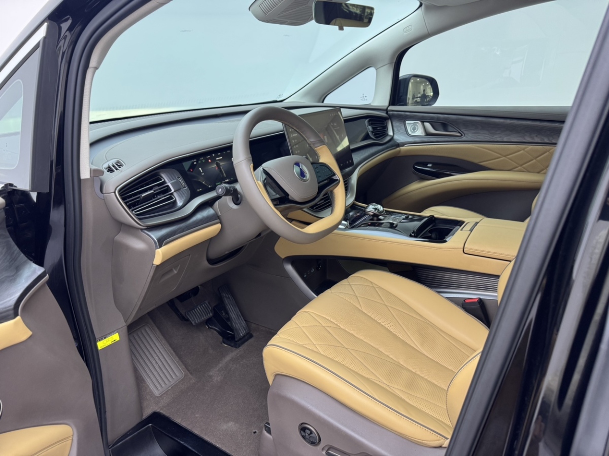 Denza N8L 2023 imagem de carro #5