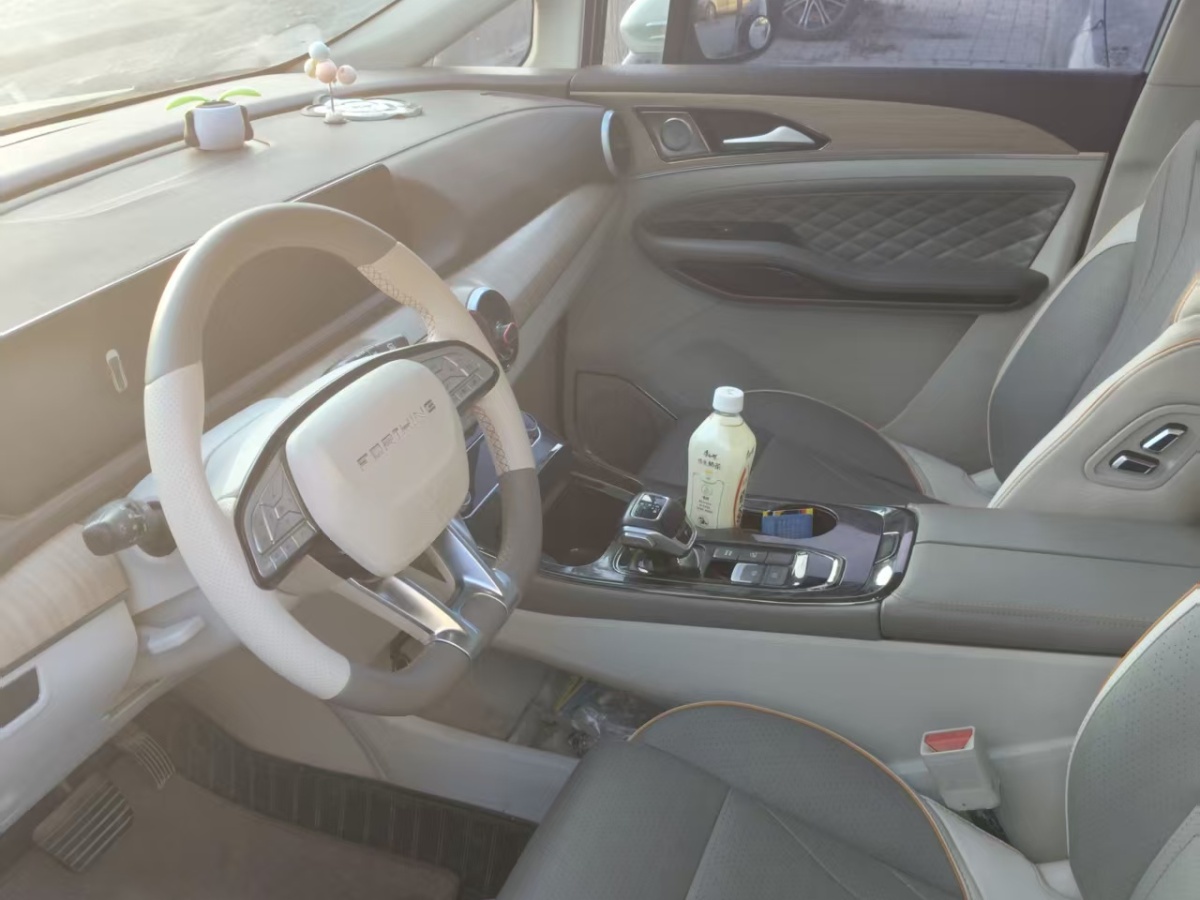 Forthing Yacht 2023 immagine di auto #5