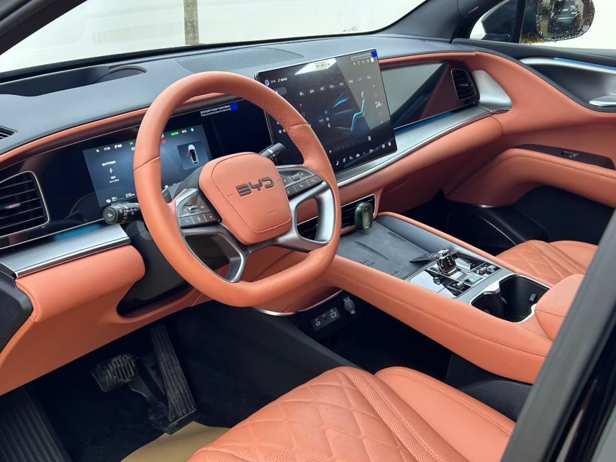 BYD Sea Lion 07 EV 2025 car image #5