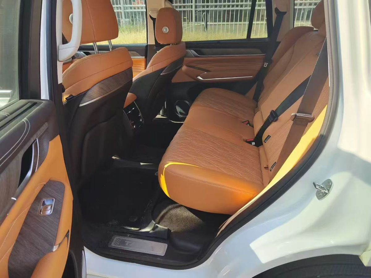 Tank 500 New Energy 2024 car image #5