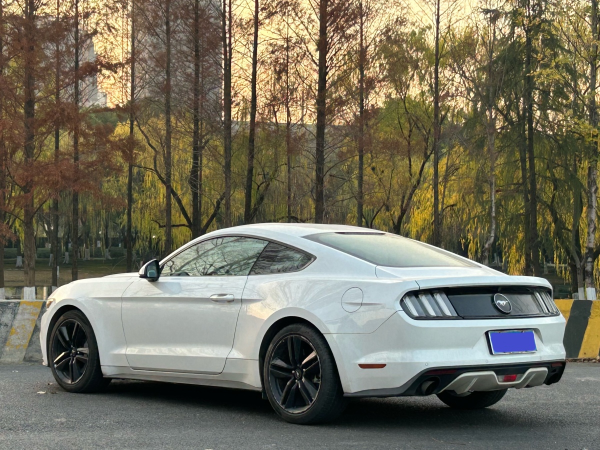 Ford Mustang 2016 #5 Ford Mustang 2016 immagine di auto #5