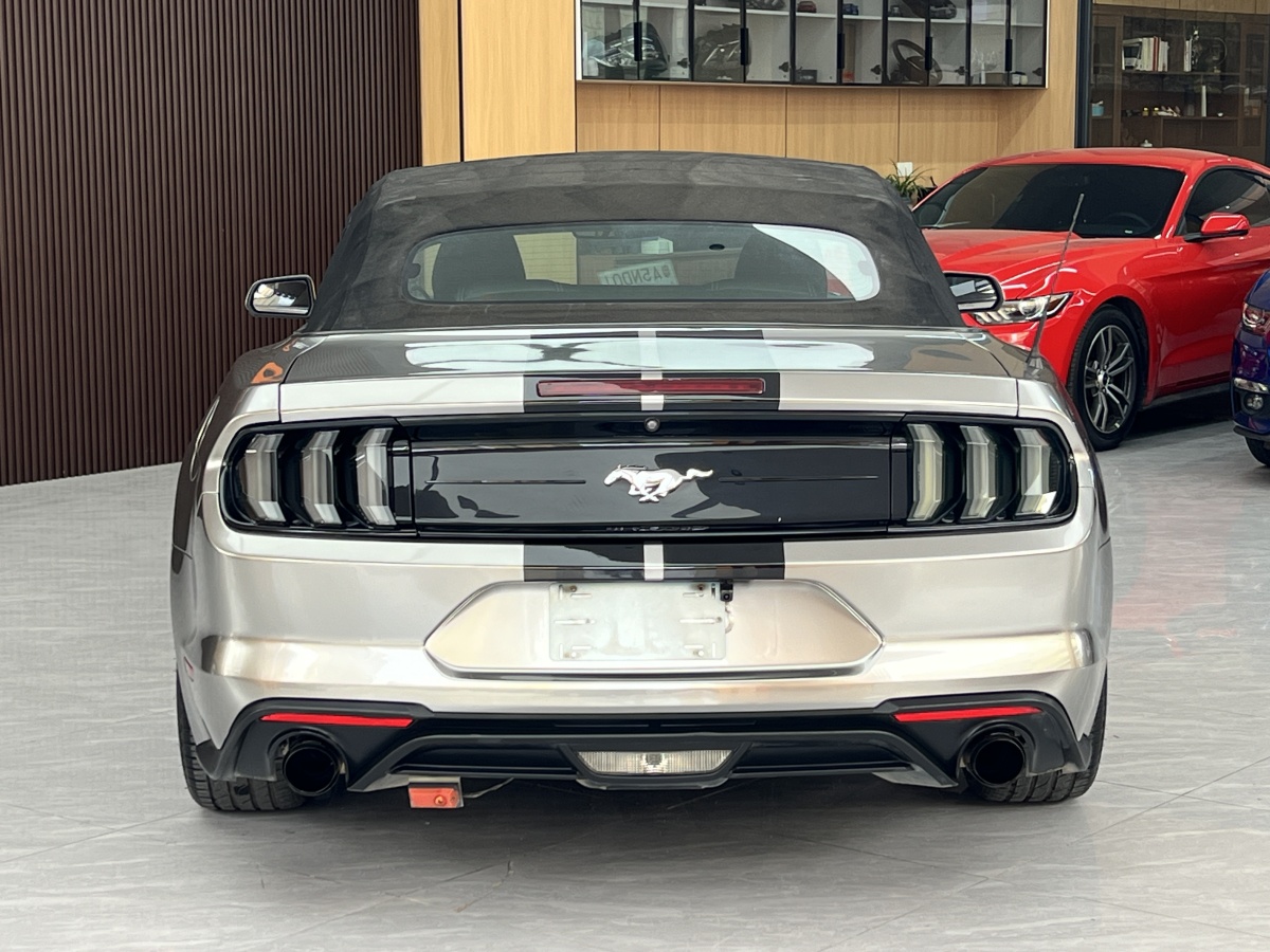 Ford Mustang 2019 #5 Ford Mustang 2019 immagine di auto #5