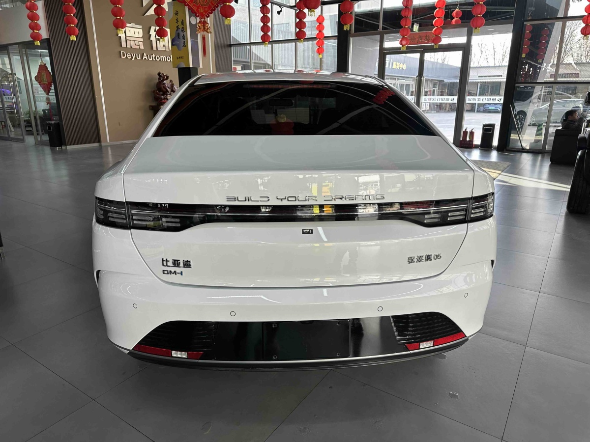 BYD Destroyer 05 2024 immagine di auto #5
