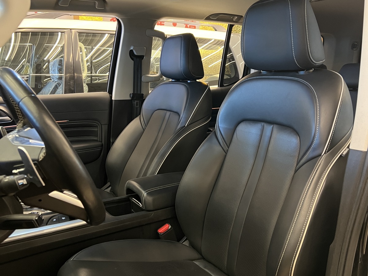 Tank 300 2022 car image #5