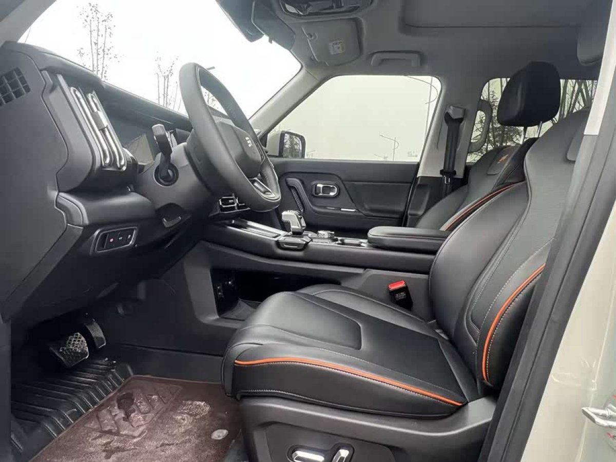 Jetour Shanhai T1 2024 immagine di auto #5