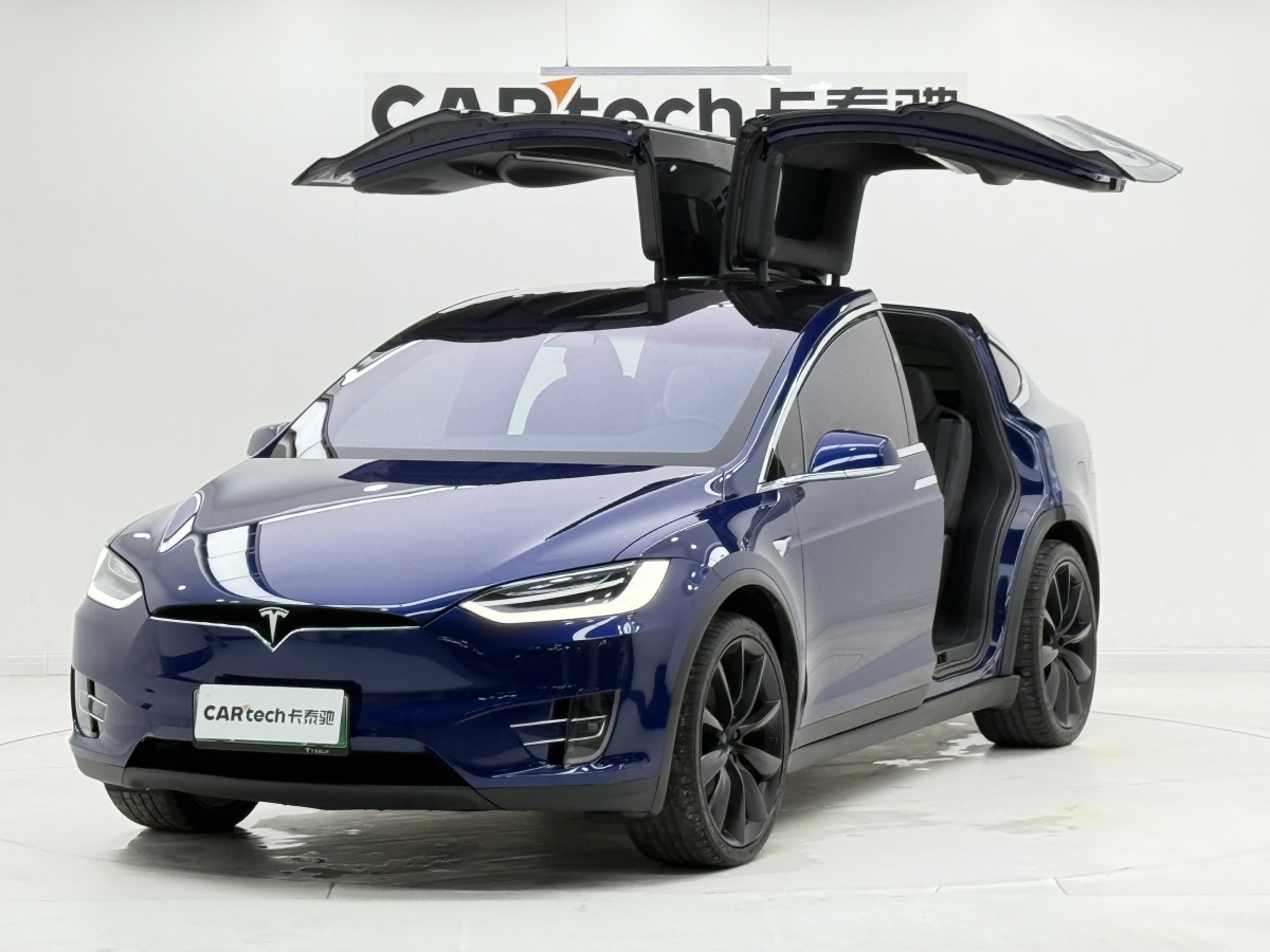 特斯拉 Model X 2020 汽车图片 #5