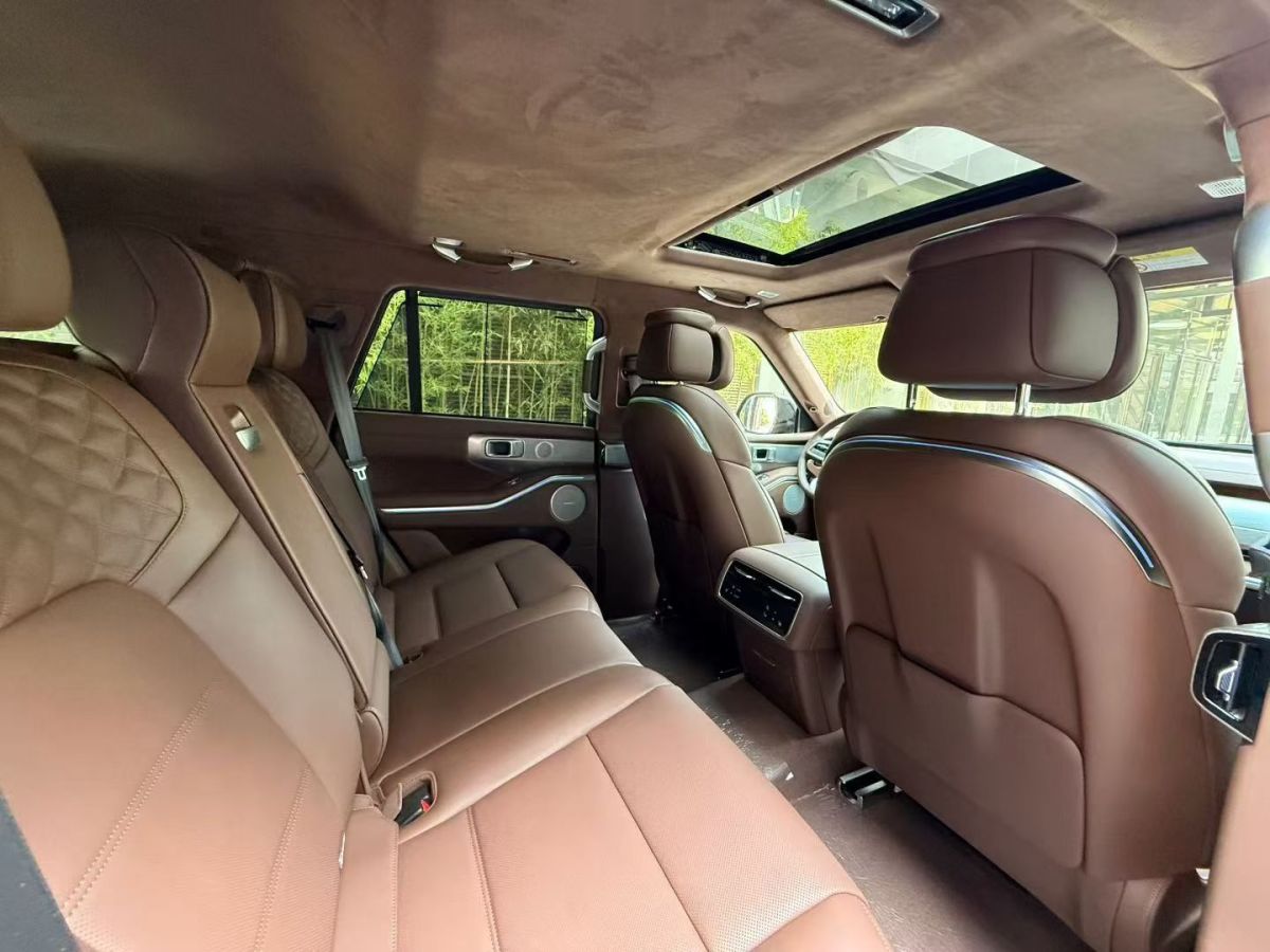 Tank 700 New Energy 2024 immagine di auto #5