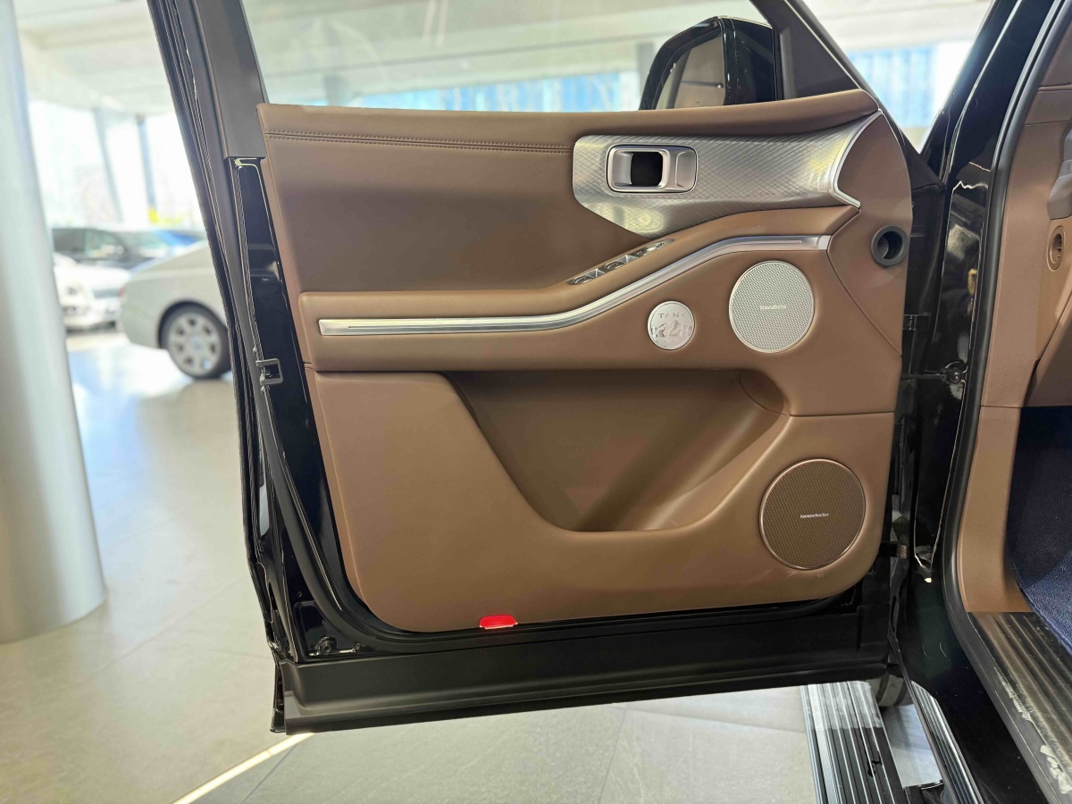 Tank 700 New Energy 2024 #5 Tank 700 New Energy 2024 immagine di auto #5