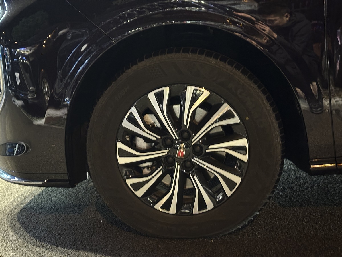 HongQi HQ9 PHEV 2024 car image #5