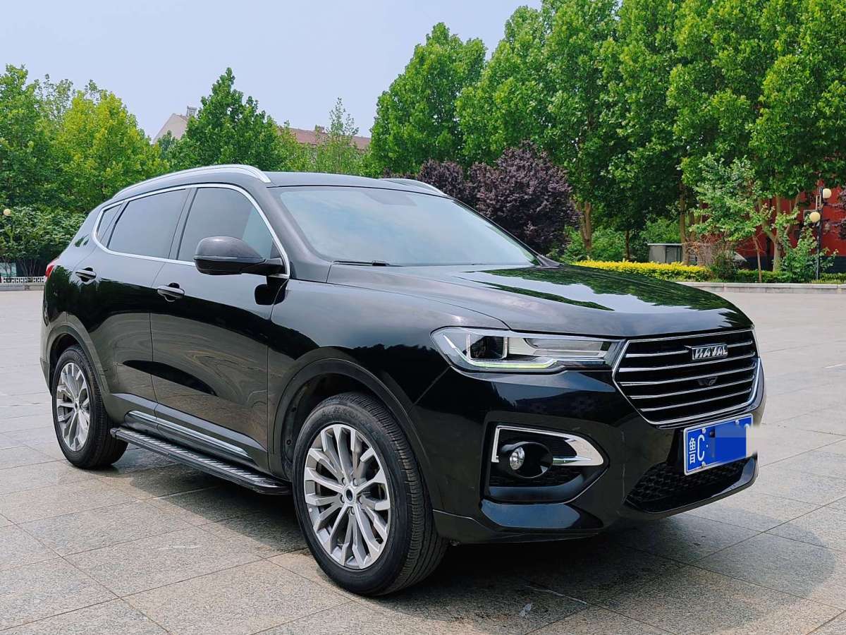 Haval 2019 car image #5