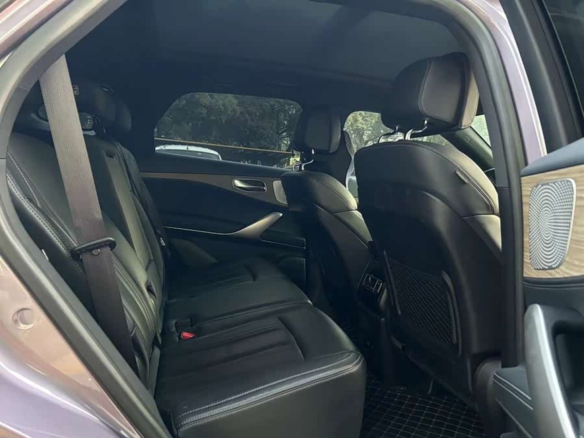 Denza X 2021 car image #5