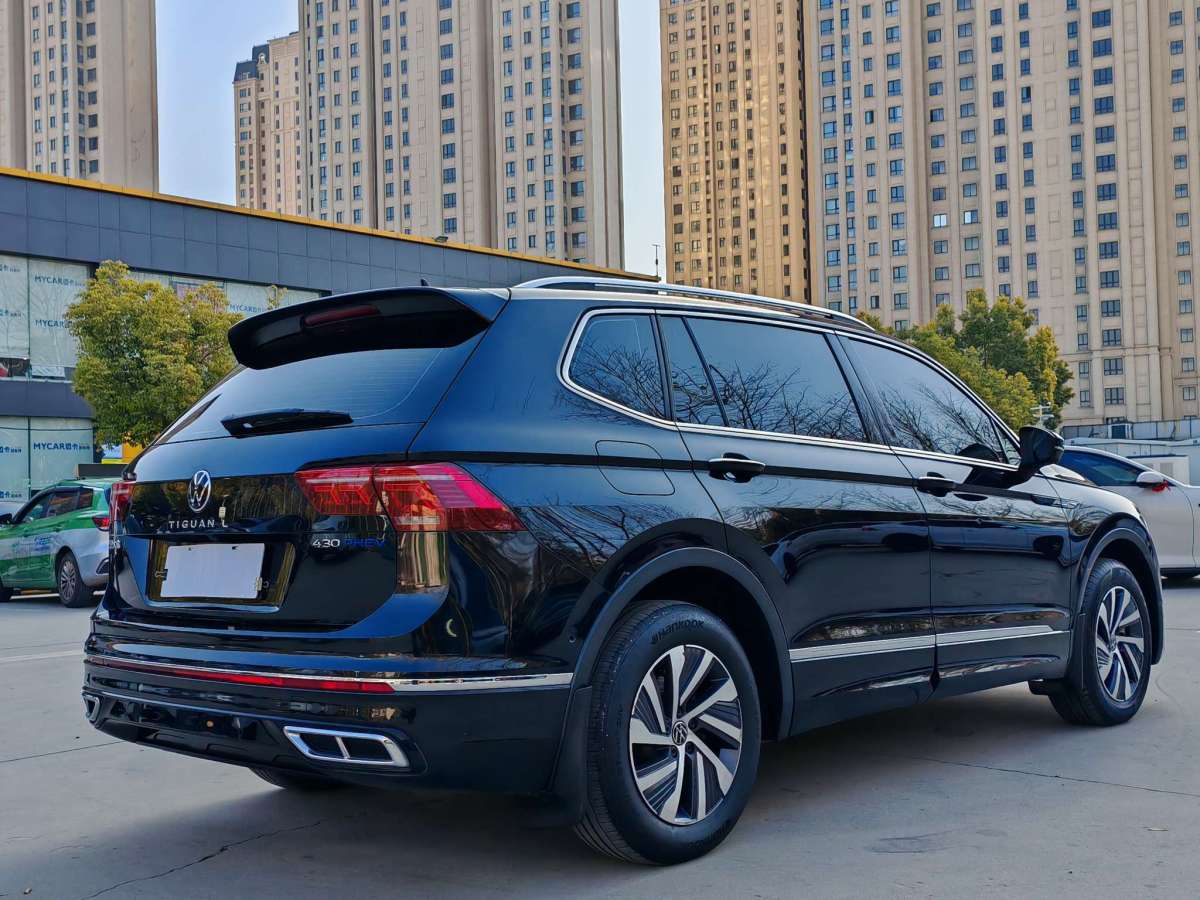 Volkswagen Tiguan L New Energy 2023 car image #5