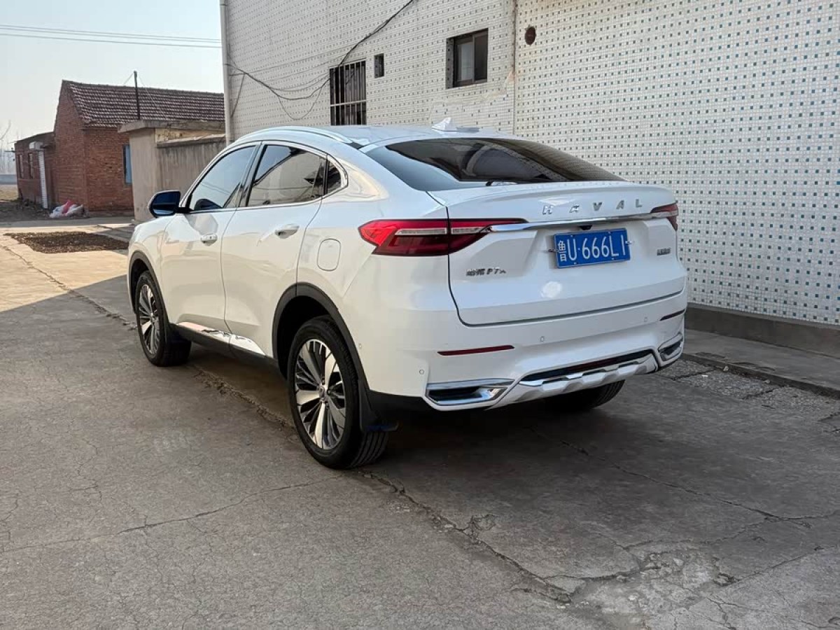 Haval F7x 2019 immagine di auto #5