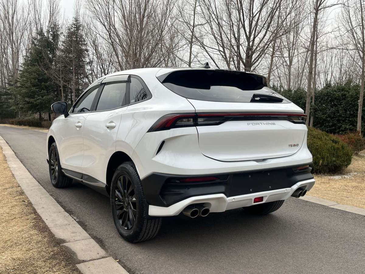 Forthing T5 EVO 2023 #5 Forthing T5 EVO 2023 car image #5