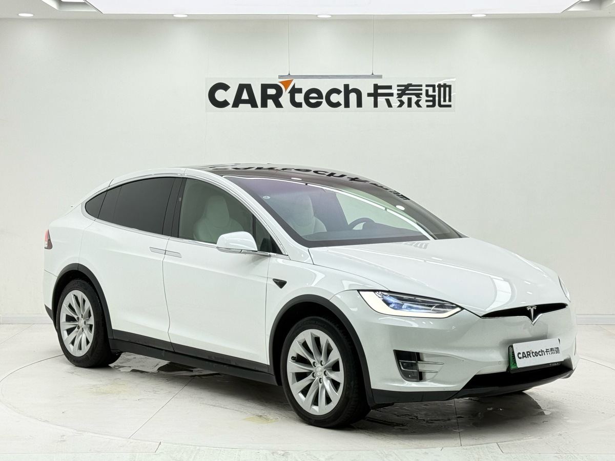 Tesla Model X 2020 immagine di auto #5