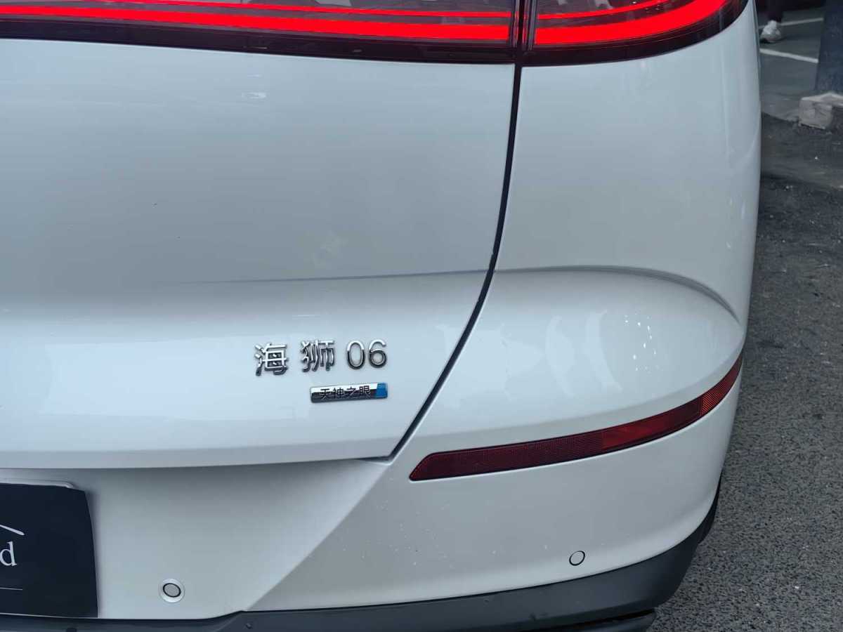 BYD Sea Lion 06 New Energy 2025 car image #5