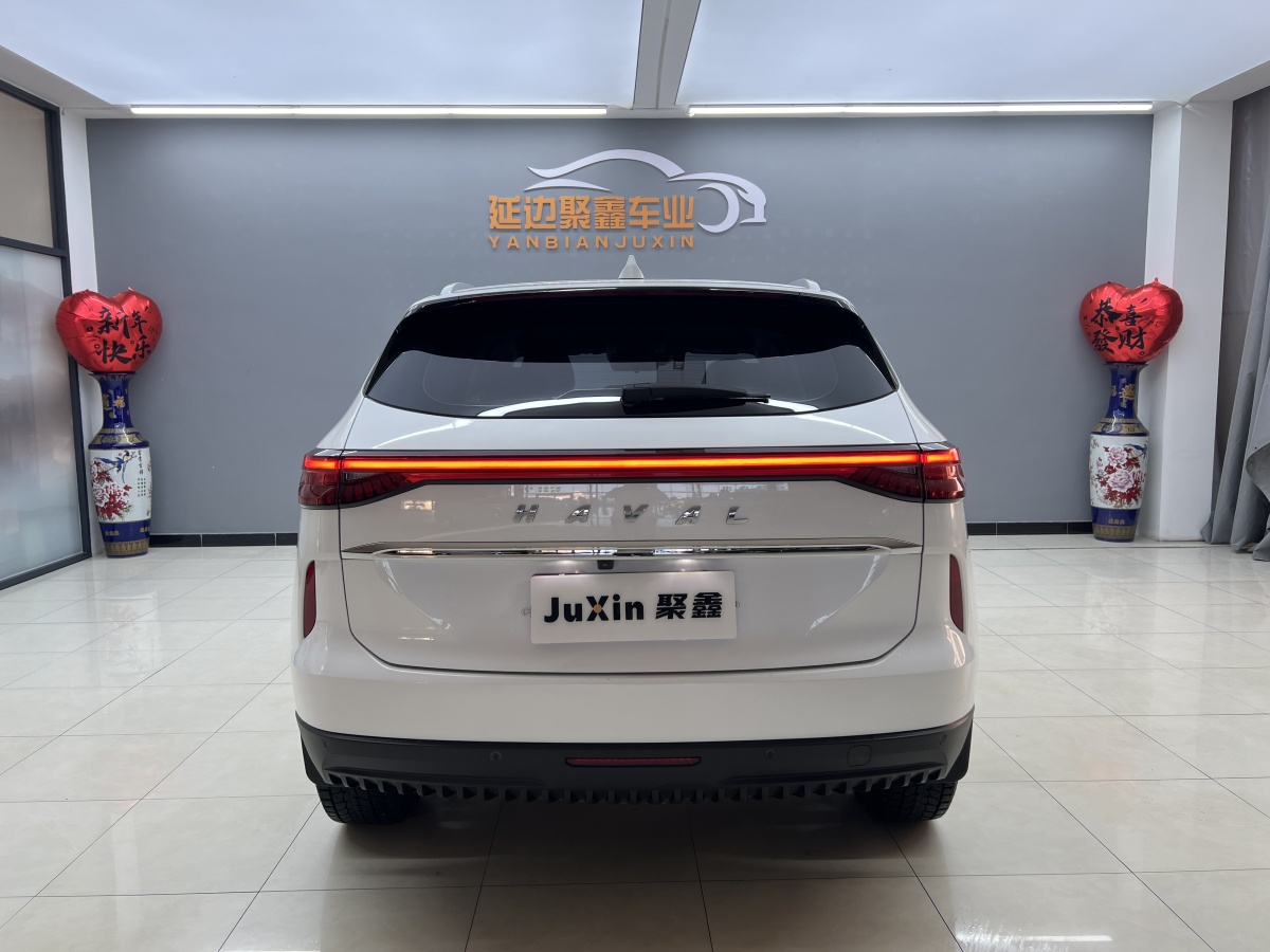 Haval H6 2021 #5 Haval H6 2021 car image #5