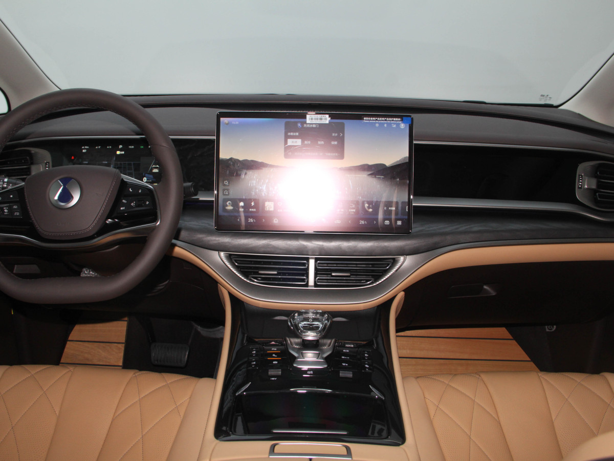 Denza D9 2025 car image #5