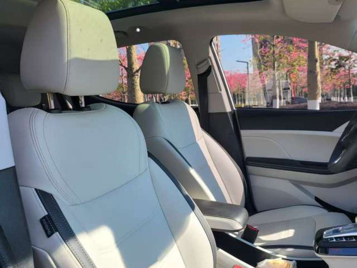 BYD Yuan Pro 2021 car image #5