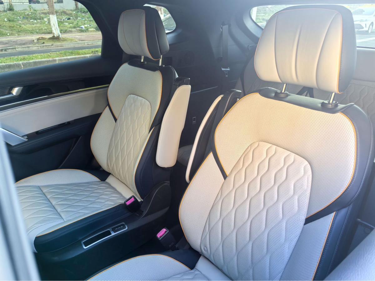 BYD Tang New Energy 2022 car image #5