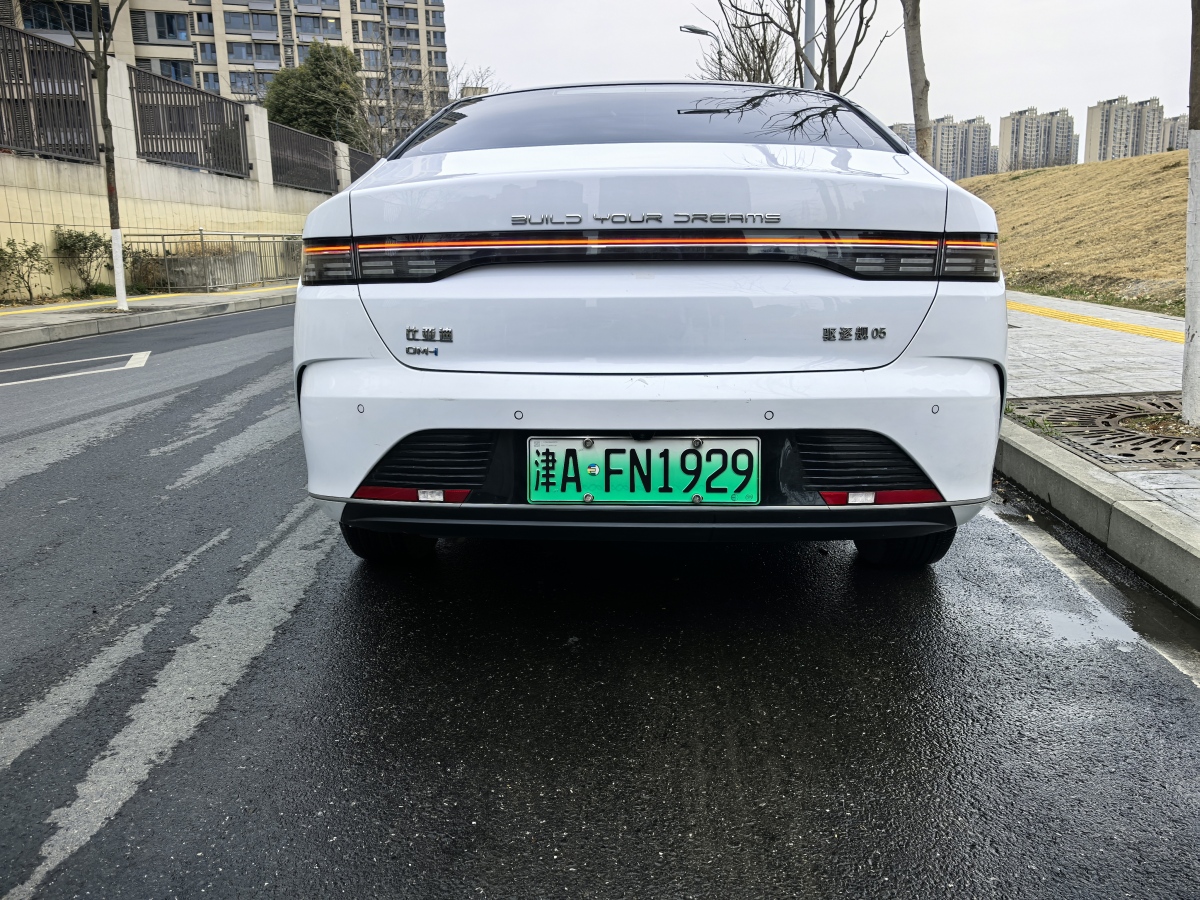 BYD Destroyer 05 2023 car image #5