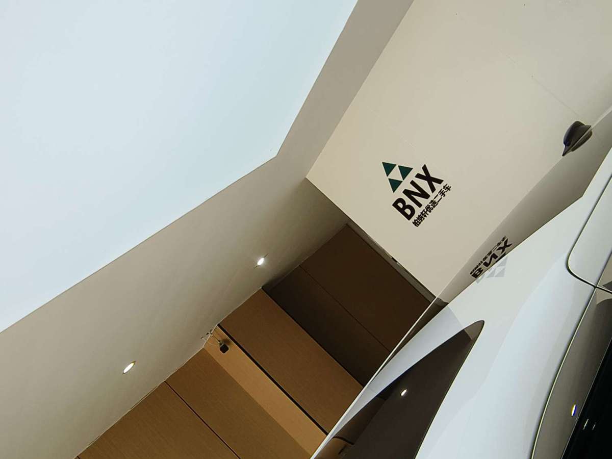 极氪 极氪009 2024 汽车图片 #5