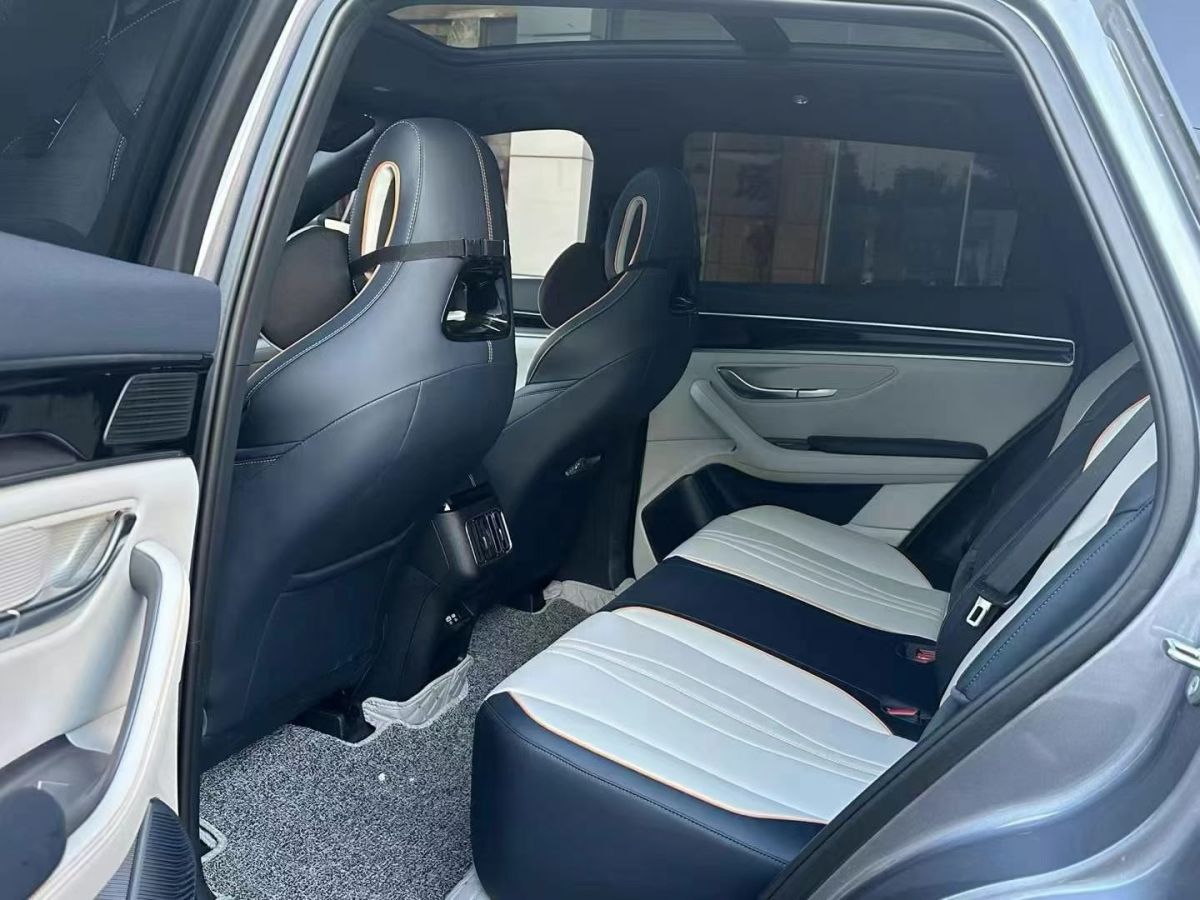 BYD Song Plus New Energy 2025 car image #5