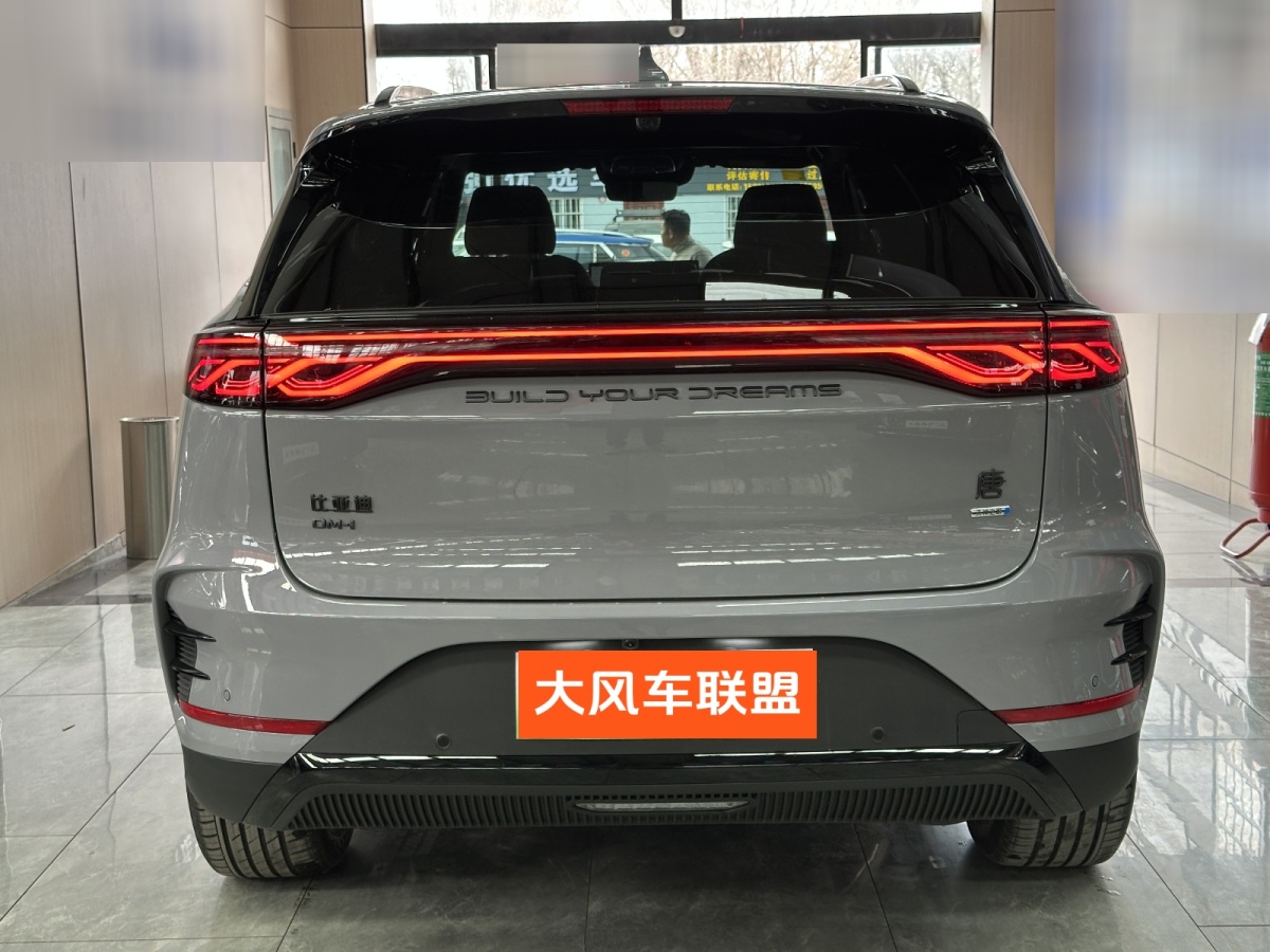 BYD Tang New Energy 2026 car image #5