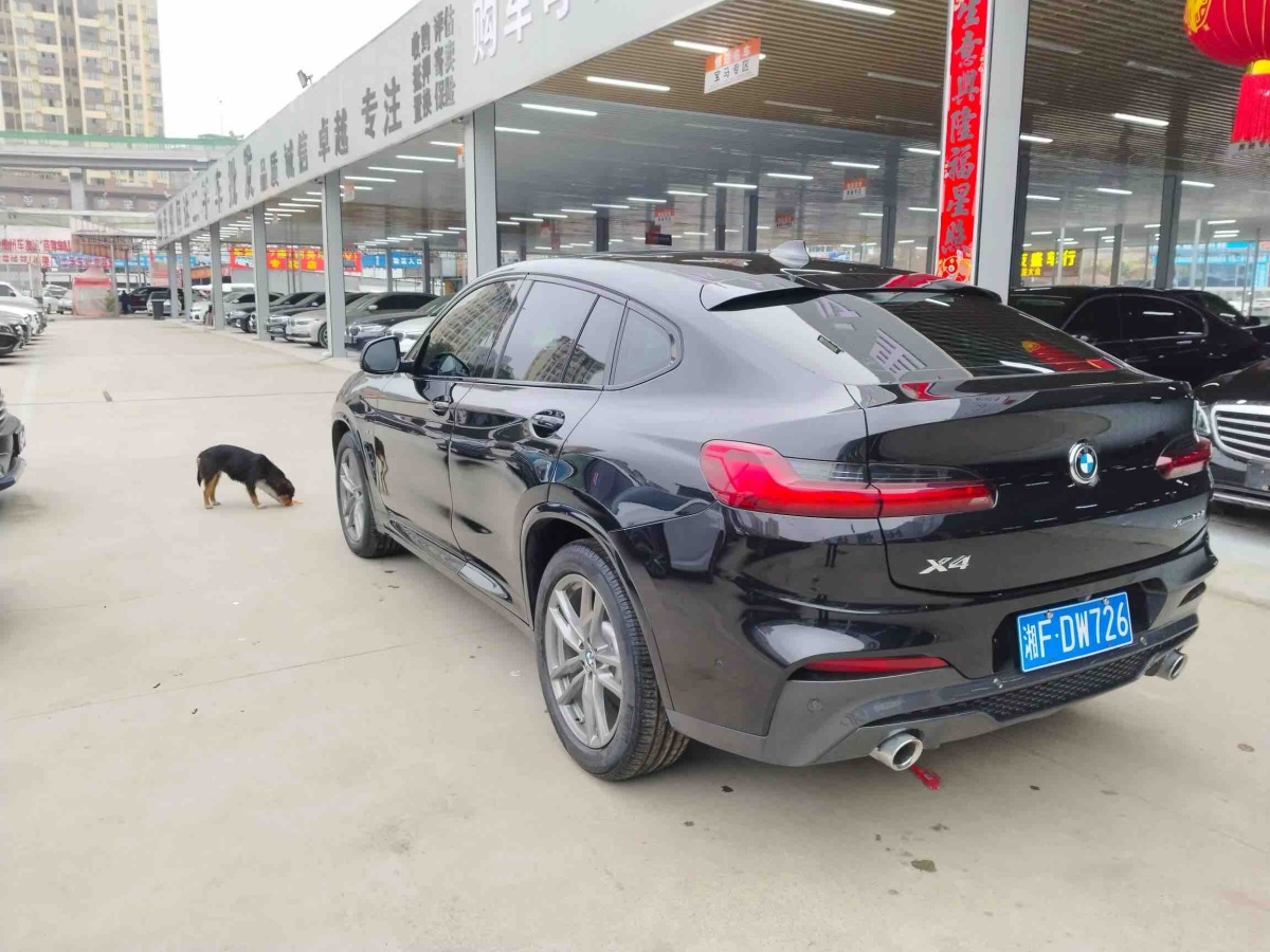 BMW X4 2019 immagine di auto #5