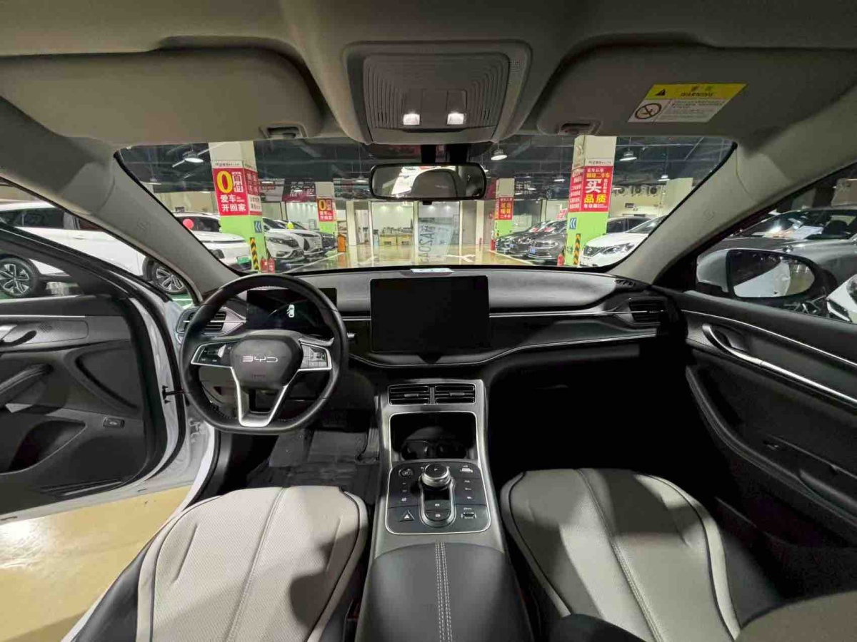 BYD Destroyer 05 2024 imagen de coche #5