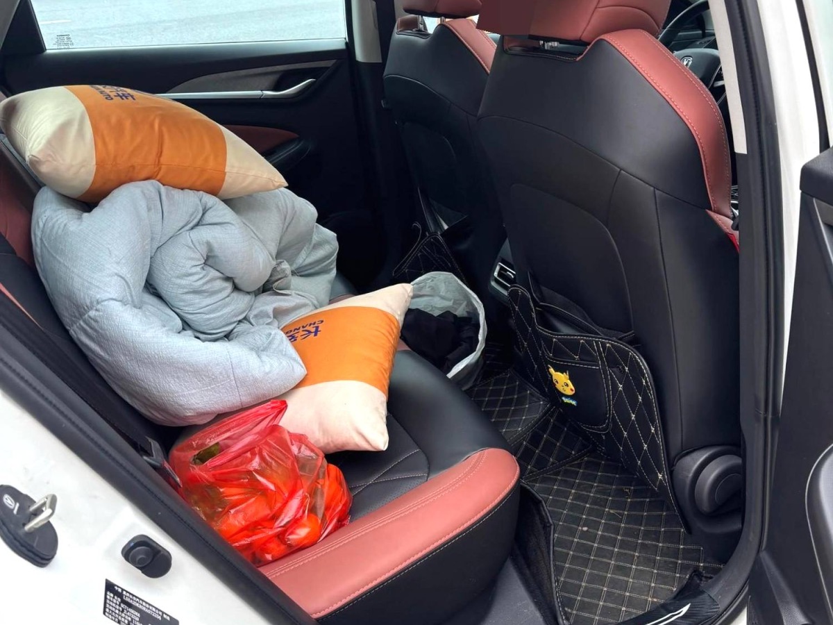 Changan Eado 2024 car image #5