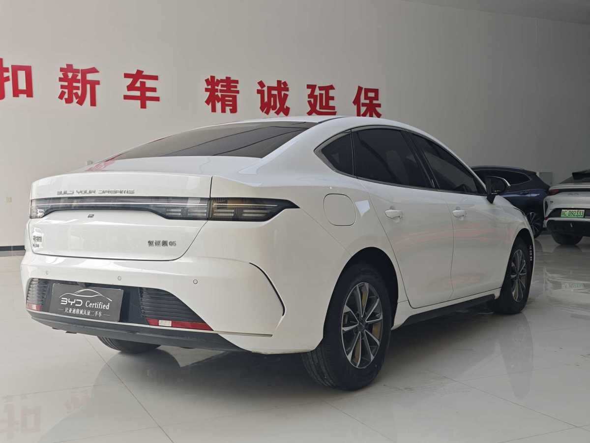 BYD Destroyer 05 2024 imagen de coche #5